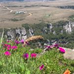 Herbário da USP preserva mais de 270 mil espécies herbario-da-usp-preserva-mais-de-270-mil-especies